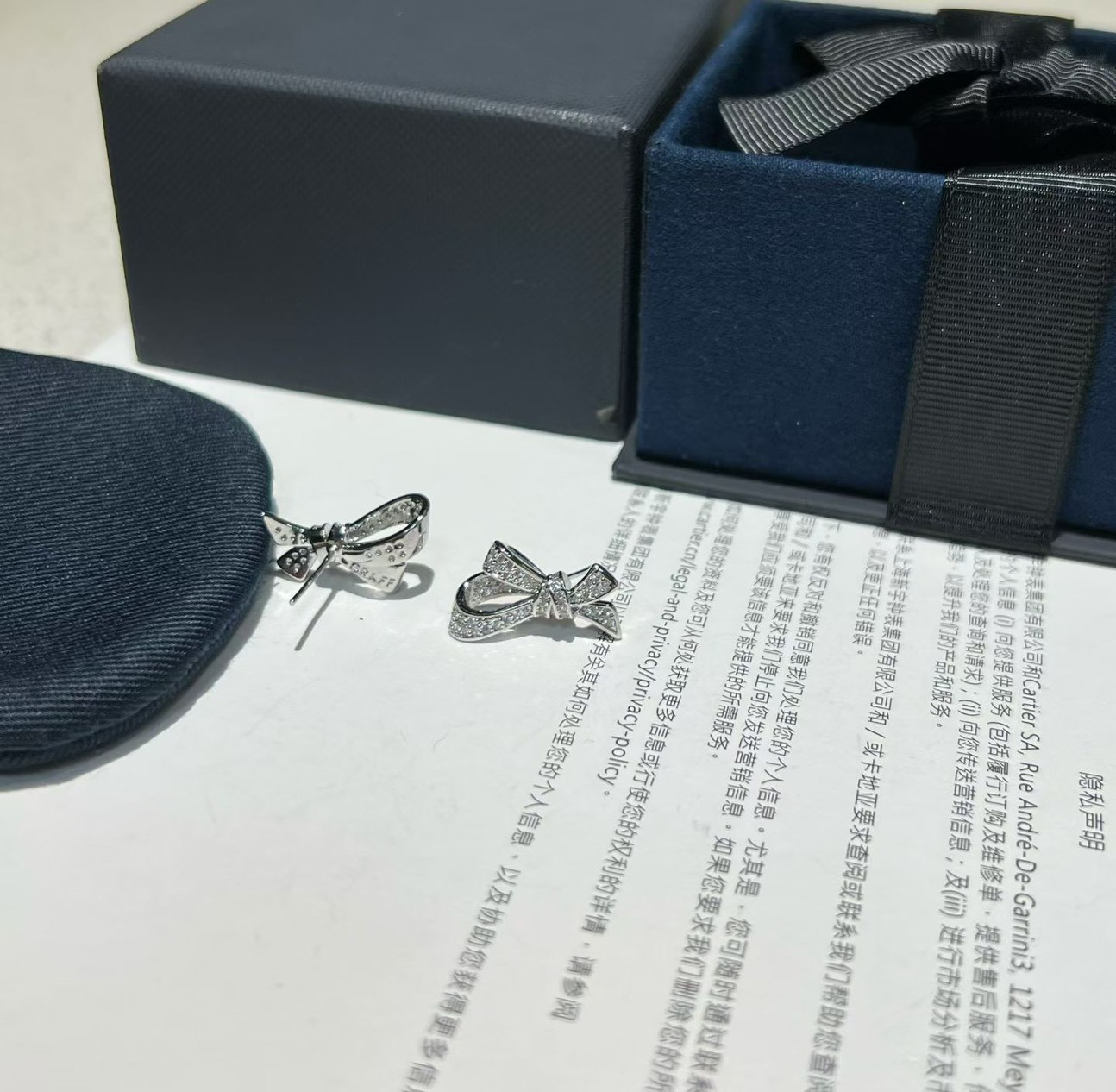 PP12709 ต่างหู GRAFF