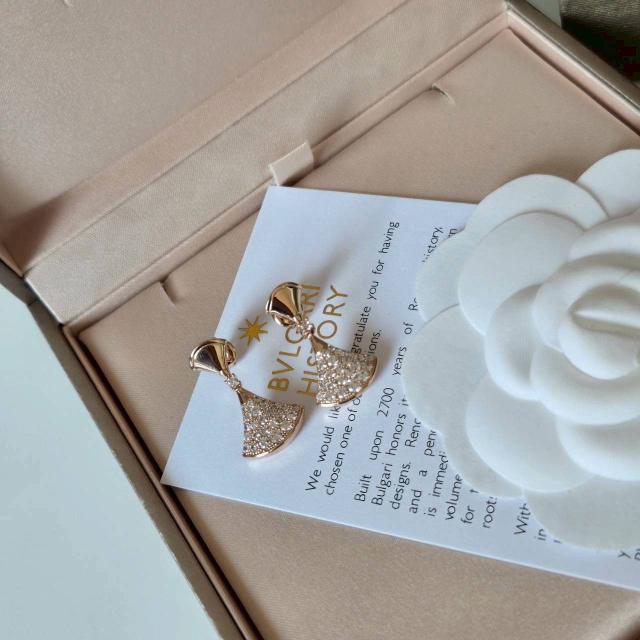 PP12505 ต่างหู BVL