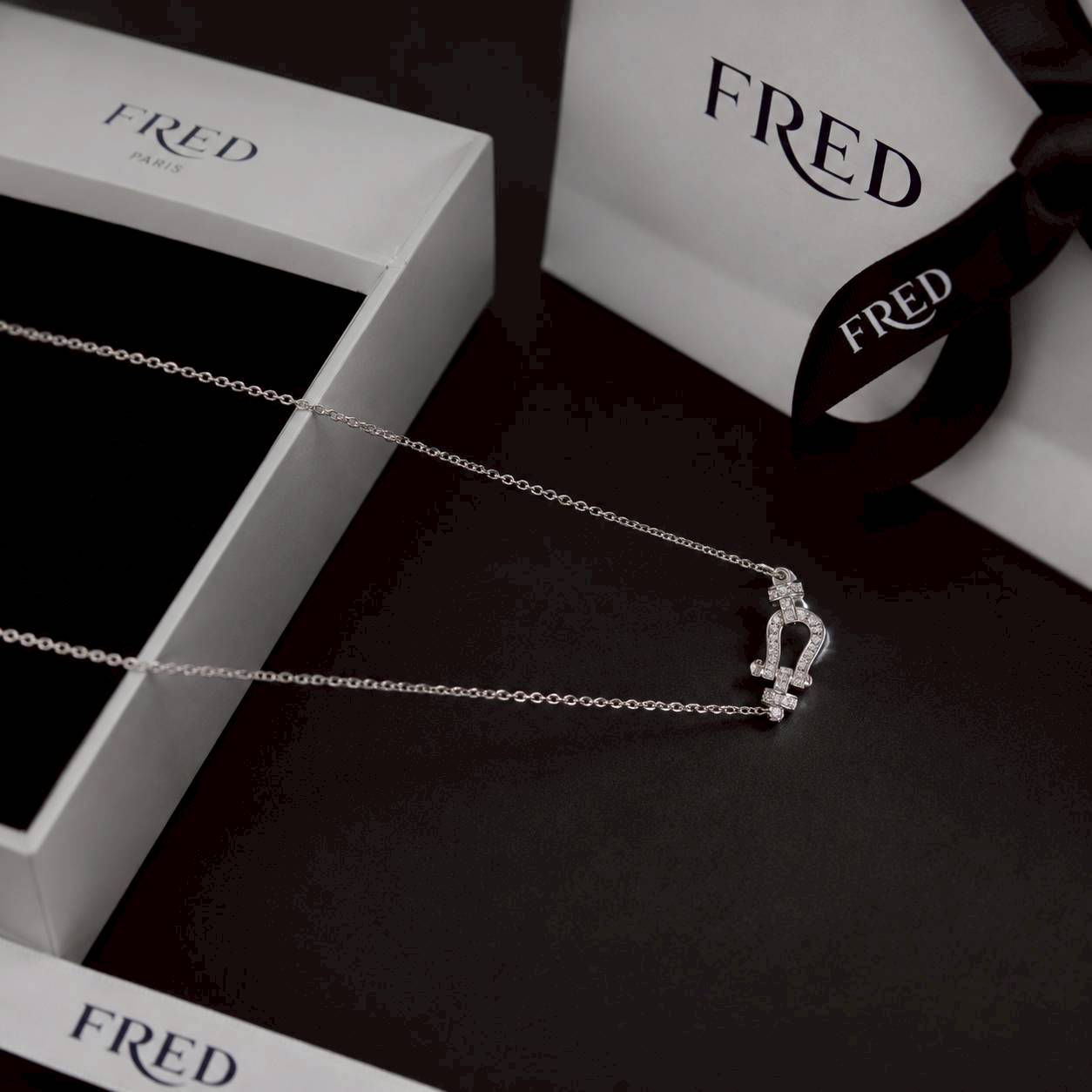 PP14153 สร้อยคอ FRED