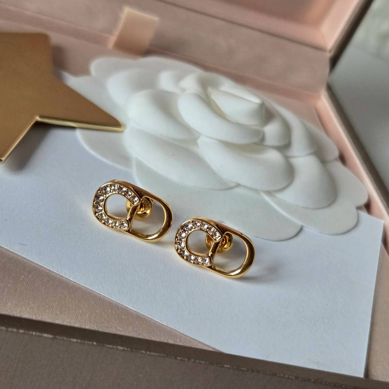 PP12918 ต่างหู DI