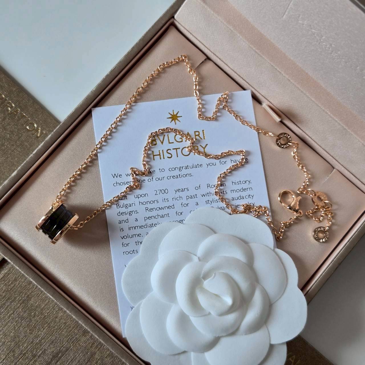 PP12322 สร้อยคอ BVL