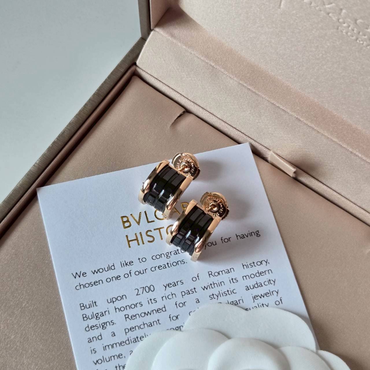 PP12321 ต่างหู BVL